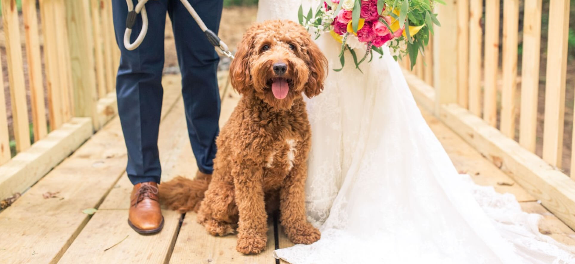 Mustard Seed Ranch Dog Breeders